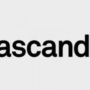 BMV Partner Logo cascando