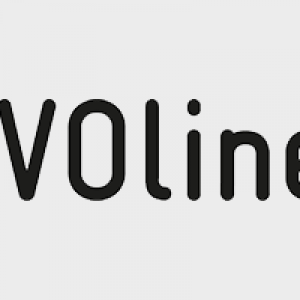 BMV Partner Logo evoline