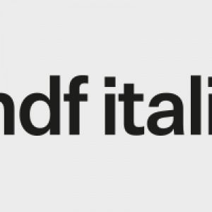 BMV Partner Logo mdf italia