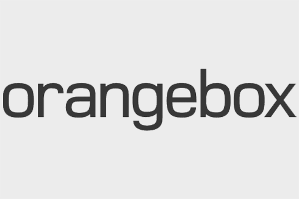 BMV Partner Logo orangebox
