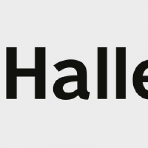 BMV Partner Logo Plus Halle